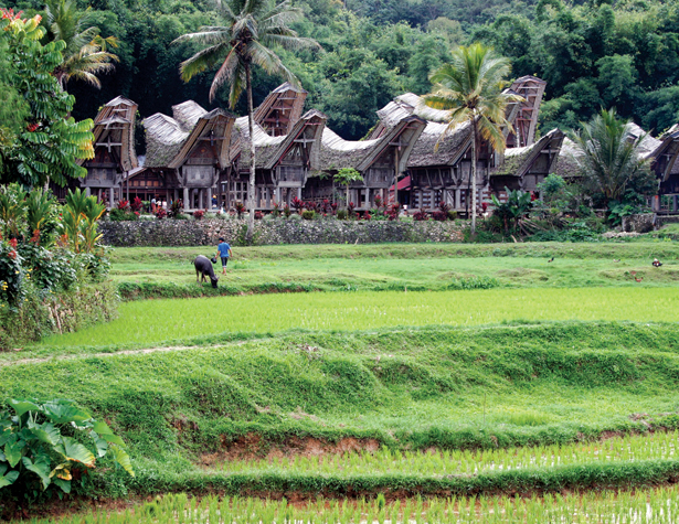 Rumah adat khas Sulawesi (Foto: nationalgeographic.com)