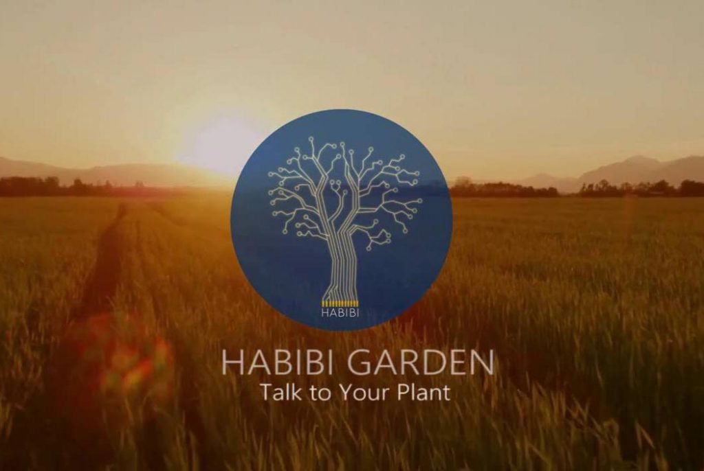 habibi-garden