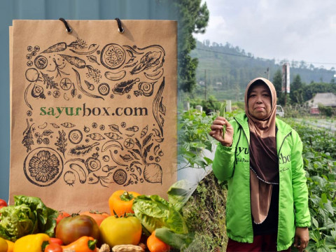 Platform Jual beli Sayuran online Sayurbox Kini Hadir di Surabaya dan Bali 1